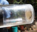 Mosquito trap showing an insect inside